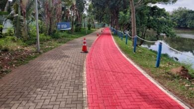 Observatório Ambiental Parque Escola