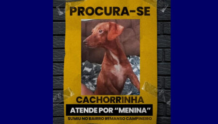 Alguém ai viu a “Menina” perdida pelo bairro Remanso Campineiro?