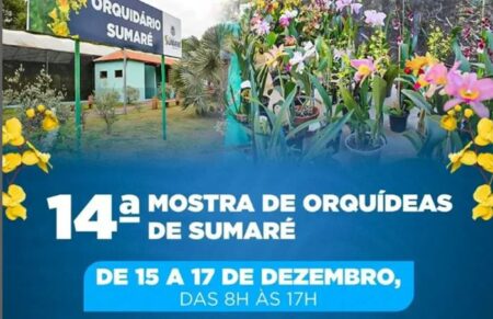 Mostra gratuita de Orquídeas começa amanhã (15) em Sumaré, confira os detalhes