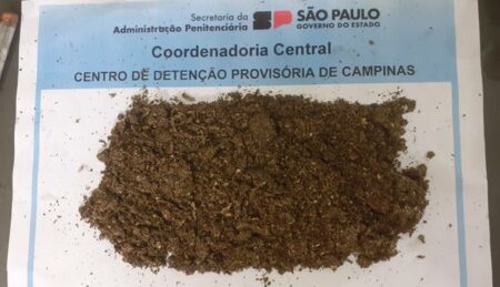 Mulheres são flagradas tentando entrar no Centro de Detenção de Campinas com drogas escondidas em seus corpos