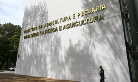 Inscrições para processo seletivo do Ministério da Agricultura e Pecuária: confira