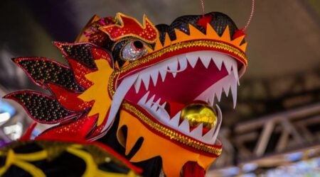 Dia do imigrante chinês em Campinas conta com música e gastronomia em uma grande festa