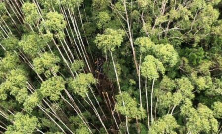 Helicóptero que estava desaparecido desde 31 de dezembro é encontrado pela PM: Equipes trabalham para acesso aos destroços