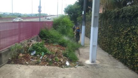Equipes fazem poda do mato na Ponte Estaiada em Hortolândia