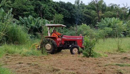 Área próxima ao Loteamento Jd. Vale Verde recebe poda de mato e limpeza