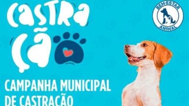 castração gratuita de animais