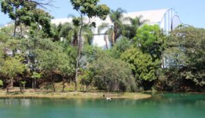 Conselho Municipal de Meio Ambiente: confira locais e as datas da eleição