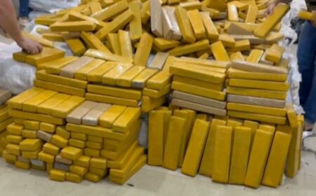 4 toneladas de maconha: Polícia de Sumaré faz a maior apreensão de drogas no ano, até o momento