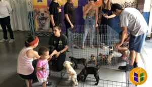 9 cães adotados na Feirinha PET, realizada no último sábado (17)