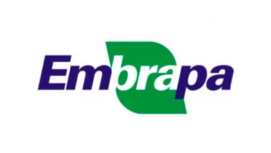 Concurso da Embrapa