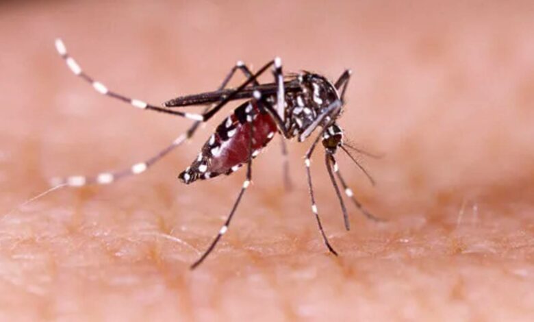 início da vacinação contra dengue em Hortolândia