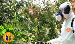 Como diferenciar os sintomas de Dengue, Chikungunya e Zika? Entenda os detalhes aqui