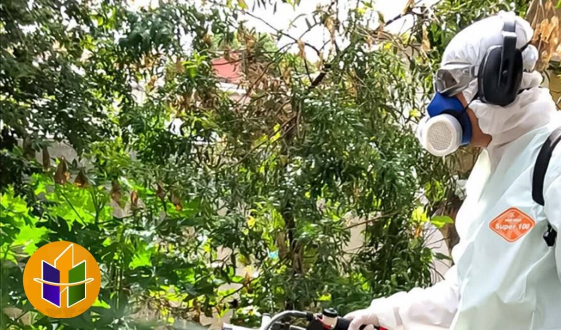 Como diferenciar os sintomas de Dengue, Chikungunya e Zika