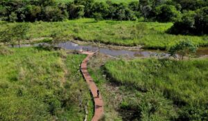 Mini Pantanal em Campinas é a mais nova opção de passeio para moradores da região