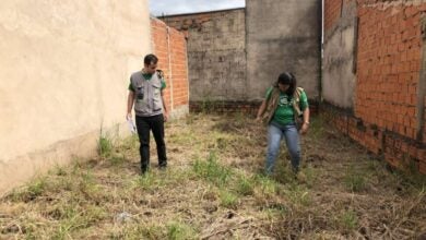 Mutirão regional contra Dengue