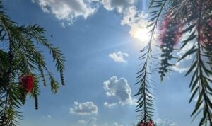 Confira a previsão do tempo para os próximos dias em Hortolândia