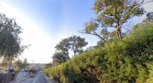 Queda de 3 árvores e alagamentos em Valinhos, após chuvas fortes de ontem (20)