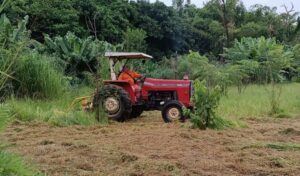 Mantenha seu terreno limpo para evitar problemas de saúde pública, notificações e multas