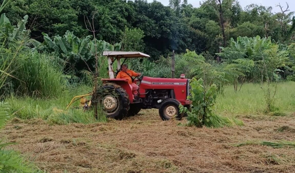 Mantenha seu terreno limpo