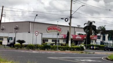 Oportunidades de emprego na Wickbold Hortolândia