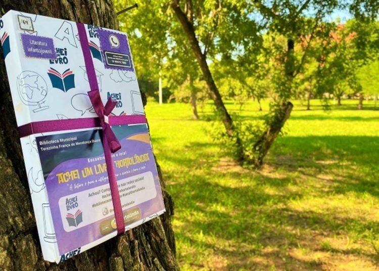 Achei um Livro 2025
