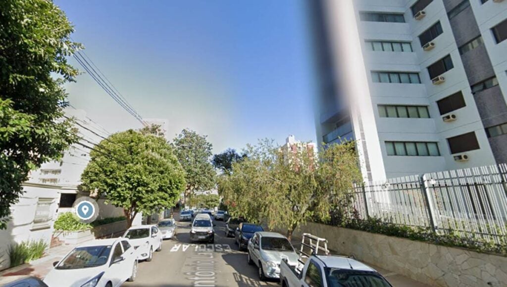 grande galho de árvore