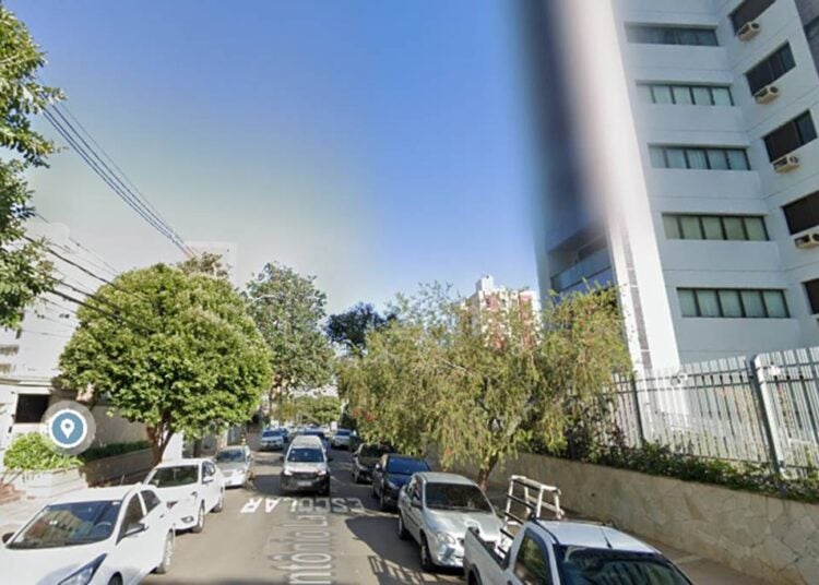 grande galho de árvore