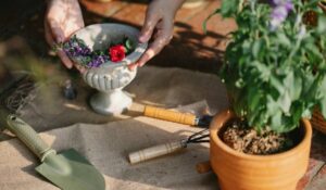Inscrições gratuitas para curso de Jardinagem em Hortolândia
