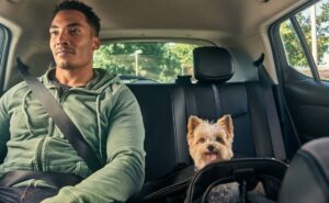 O que é Uber Pet? Conheça o serviço que já está na região