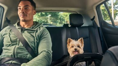 O que é Uber Pet