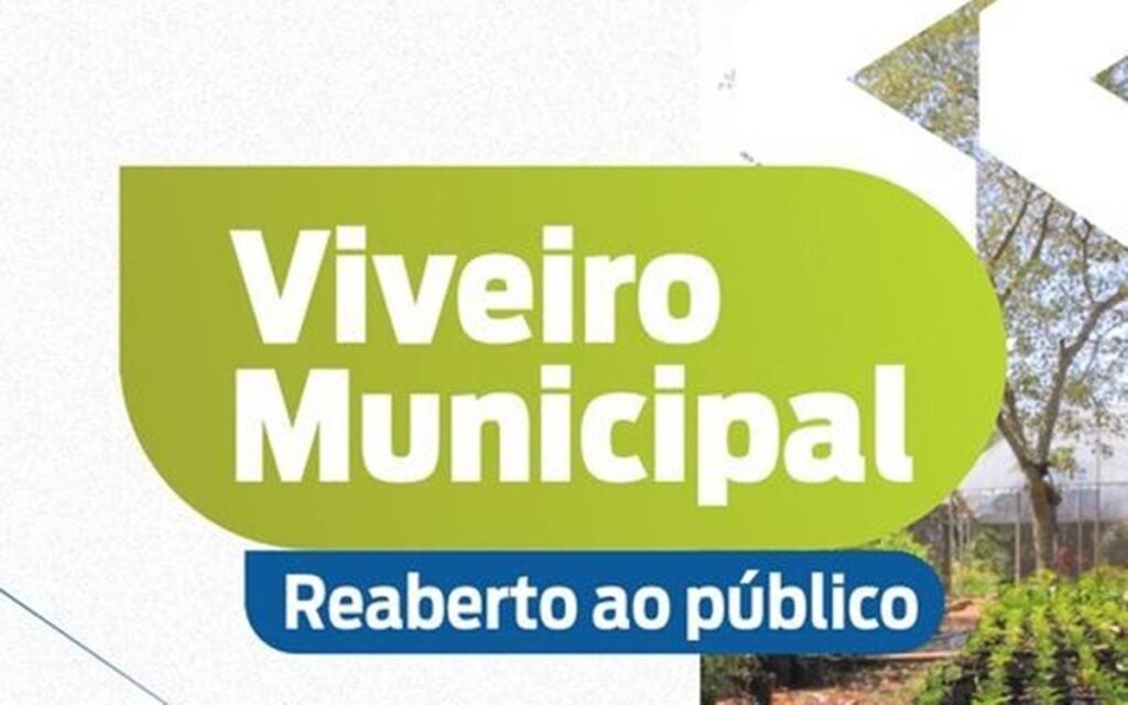 mudas e adubo orgânico