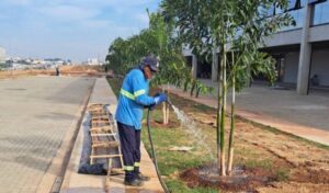Mais verde no entorno do Novo Paço Municipal de Hortolândia com plantio de mudas
