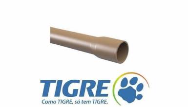 tigre