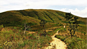 Férias e natureza: confira as principais atividades para aproveitar os parques naturais de SP