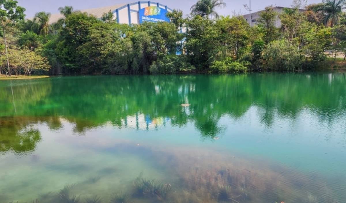 Dia Mundial do Meio Ambiente