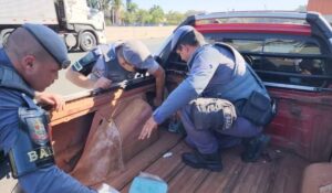 Polícia de Americana prende mãe e filho por suspeita de tráfico de drogas
