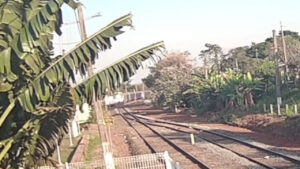 Vídeo mostra colisão de trem e caminhão em Hortolândia
