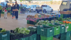 Feira de produtos orgânicos no Ceasa Campinas