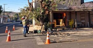 Árvores com risco de queda são podadas em Hortolândia