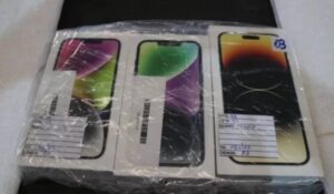 Leilão online da Receita Federal terá lotes com diversos produtos, de IPhones a vinhos