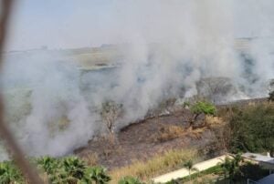 Incêndio gera incômodo e assusta moradores da Vila São Pedro, em Hortolândia