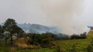 Nuvem de fumaça que afeta a região está vindo da amazônia e do pantanal