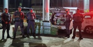 Polícia apreende 872kg de maconha em Sumaré