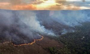 Brasil concentra 76% dos incêndios na América do Sul: só hoje foram mais de 5 mil focos