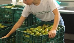 1º Encontro Regional de Segurança Alimentar: confira programação gratuita