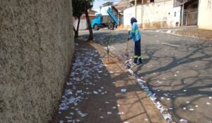 Mutirão de limpeza para a coleta de santinhos em Hortolândia