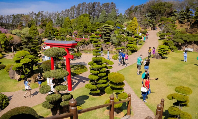 Parque Maeda