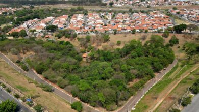 parques e bosques