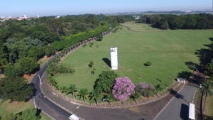 Venda de área do Instituto Agronômico em Campinas preocupa setor cafeeiro