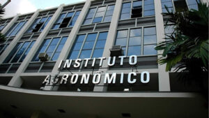 Por falta de pesquisador, IAC interrompe estudos em grãos, hortaliças e tecnologia de fibras